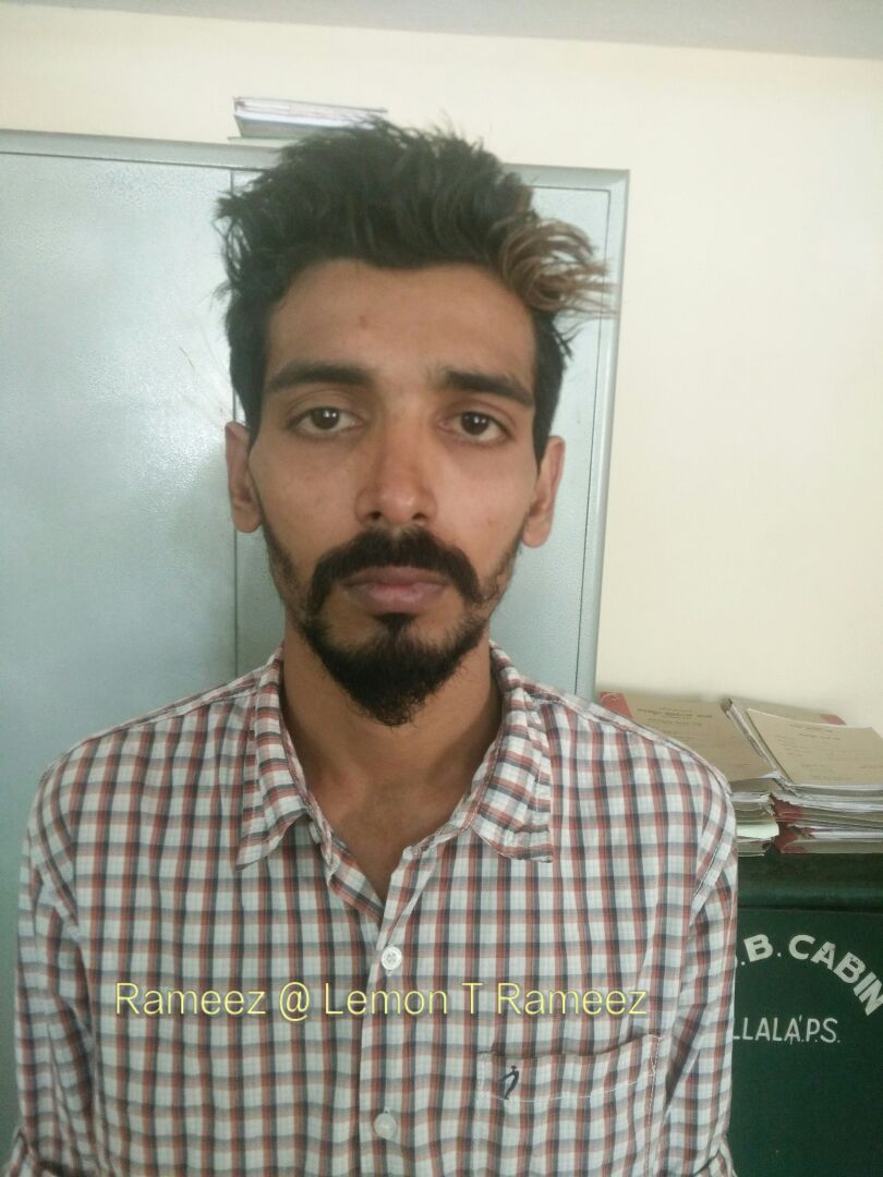 ಮಂಗಳೂರು: ಹಲವು ಪ್ರಕರಣಗಳ ಆರೋಪಿ ಸೆರೆ